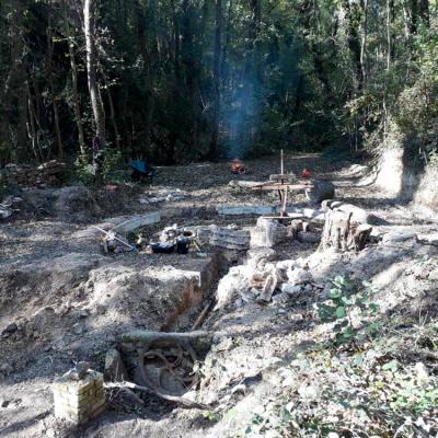 10 Copie