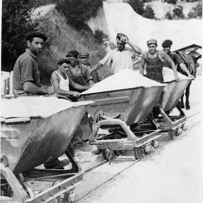 Fv003