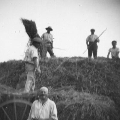Os008
